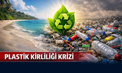 Tek Kullanımlık Plastik Yönetmeliği Taslağı: Önemli Bir Adım, Ancak Güçlendirilmesi Gerekiyor