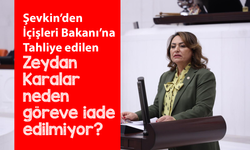 CHP’li Dr. Müzeyyen Şevkin’den İçişleri Bakanı’na: Tahliye edilen Zeydan Karalar neden göreve iade edilmiyor?