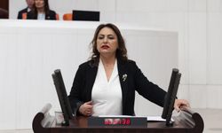 CHP’li Dr. Müzeyyen Şevkin’den “0850 Terörü” İçin Meclis’e Araştırma Çağrısı