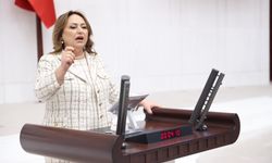 CHP’li Müzeyyen Şevkin’den paylı mülkiyet sorunu için Meclis araştırması çağrısı