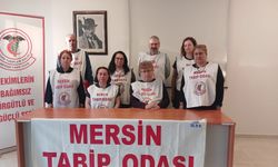 Mersin Tabip Odası, İnsan Hakları Komisyonu, Kadın Hekimlik ve Kadın Sağlığı Komisyonu: Dr. Ayşe Uğurlu’nun Yanındayız