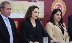 DEM Partili Milletvekillerinden Şırnak’taki Su Kirliliğine Soru Önergesi