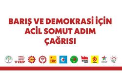 11 Siyasi Partiden Barış ve Demokrasi İçin Acil Somut Adım Çağrısı