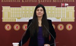 DEM Partili Güneş: “Mardin’de ekolojik kırım yaşanıyor”