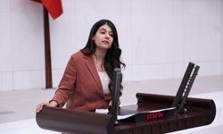 Beritan Güneş: "Beyazsu yok olma riskiyle karşı karşıya”