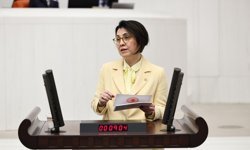 CHP’li Aylin Yaman: Doğum İzni Artışı Olumlu, Ek Düzenleme Şart