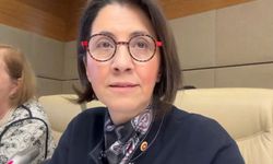 CHP’li Dr. Aylin Yaman, Sağlık Komisyonu’nda Tıp Fakülteleri ve Hekim Mağduriyetlerini Gündeme Taşıdı