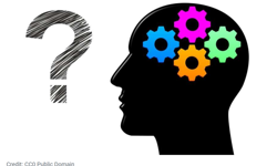 Hafızanızı Güçlendirmek İçin Bilimsel Olarak Desteklenen 5 Etkili Yöntem