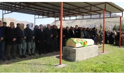 DEM Partili vekillerden, Batman Hapishanesinde yaşamına son veren Mehmet Çeviren'e ilişkin başvuru