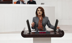 Gülcan Kış; “Milli Eğitim Bakanı Yusuf Tekin derhal istifa etmelidir.”