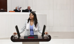 Beritan Güneş, Okullara uzman çavuş değil psikolog, sosyal hizmet uzmanı, rehber öğretmen görevlendirilmeli