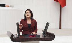 CHP Mersin Milletvekili Gülcan Kış,​​​​​​​ “VERGİ VATANDAŞA, MUAFİYET LÜKSE!”