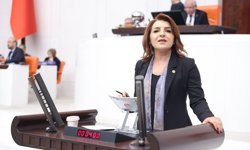 CHP’li Gülcan Kış: Hastalar İlaca Değil Çaresizliğe Erişiyor