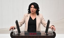 DEM Partili Türkoğlu’ndan doğum izni düzenlemesine tepki: Ücretsiz kreşler açılmalı