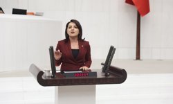 CHP’li Gülcan Kış: “Emekli pazara 500 lirayla çıkıyor, eli boş dönüyor”