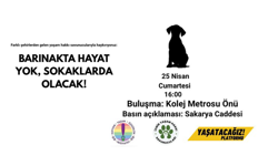 Barınaklarda Hayat Yok, Sokaklarda Olacak Çağrısı: Hayvan Hakları İçin Ankara’da Buluşma