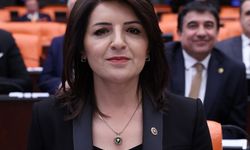 CHP'li Gülcan Kış, MERSİN LİMANINDA TEKEL VE KAPASİTE KRİZİ: MALİYET ARTIYOR, TİCARET KAÇIYOR