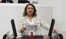 Müzeyyen Şevkin: “6284 etkin uygulanmalı, İstanbul Sözleşmesi yeniden hayata geçmelidir”