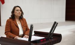 CHP’li Şevkin “Adana’nın denize açılan kapıları neden atıl bırakılıyor?”