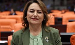 CHP’li Şevkin TBMM’de tek tek saydı: “Adana’nın sorunları daha fazla bekleyemez”