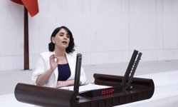 Şırnak’ta ekolojik yıkım, maden faaliyetleri, su ve hava kirliliği Meclis gündemine taşındı