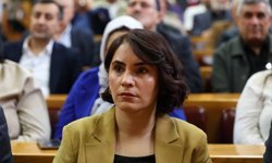 AİHM Kararları Uygulanmıyor: DEM Partili Nevroz Uysal Aslan’dan Adalet Bakanlığı’na Kritik Sorular