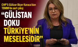 CHP’li Gülizar Biçer Karaca’dan TBMM’de sert çıkış: “Gülistan Doku Türkiye’nin meselesidir”