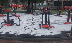 Adana’da Dolu Felaketi: Tarım Arazileri Zarar Gördü, Çiftçi Perişan Oldu