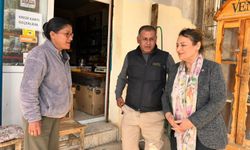 CHP’li Dr. Müzeyyen Şevkin, Kızıldere Köyü Bakkal Esnafının Vergi Mağduriyetini TBMM’ye Taşıdı