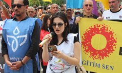 Aşikar Kutlay: “Bu Şiddet Münferit Değil”