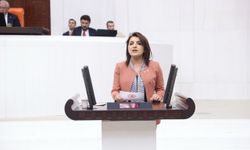 CHP’li Gülcan Kış: “Bu Bayramda Dayanışmayı Büyütmek Zorundayız”