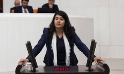 Beritan Güneş Altın’dan “Kayıplar Komisyonu” Çağrısı