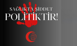 Genel Sağlık-İş, Hakkari’de Psikolog Arkadaşımıza Gerçekleştirilen Saldırının Sorumluları Derhal İstifa Etmelidir