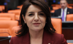 Gülcan Kış, Bireysel silahlanma ve madde kullanımındaki artış kontrol edilemez boyutlara ulaştı