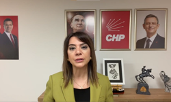 CHP’li Taşcıer’den enflasyon tepkisi: “Ekonomi programı halkı ezdiriyor”