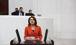 CHP’li Kış “AKP 8 Kez Varlık Barışı Çıkardı, 9’uncusu Yolda: Demek ki Hâlâ Barışamadıkları Varlıklar Var”