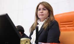 CHP’li Gülizar Biçer Karaca’dan Kadın İstihdamı İçin Araştırma Komisyonu Teklifi
