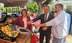 CHP Adana Milletvekili Dr. Müzeyyen Şevkin, “Vatandaş pazarda etiket değil geçim derdi okuyor!”
