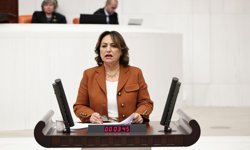 CHP’li Şevkin: “Tapu Kanunu teklifi geri çekilmeli”