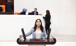 DEM Parti’den “Anadilde Eşit Savunma Hakkı” Teklifi: “Kürtçe Suçla Değil, Adaletle Anılmalı”