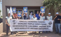 SES Adana: “Ebelik varsa yaşam var; güvenceli ve kamusal sağlık şart”