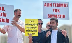 CHP’li Baran Yazgan’dan TMO’ya ‘alım fiyatı’ tepkisi…