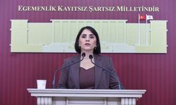 DEM Partili Nevroz Uysal Aslan: "Şırnak'ta Hastane Var, Doktor Yok; Sağlık Sistemi Gerçekte İşlemiyor"