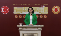 Gülcan Kaçmaz Sayyiğit: “Özgürlük ve demokrasi konuşulurken KHK mağduriyeti unutulamaz”