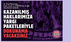 Kadınları ve LGBTİQ+'ları Hedef Alan Düzenlemeler 12. Yargı Paketi'nde Yer Almadı