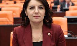 Gülcan Kış, Mersinli üretici afet sonrası destek bekliyor: Bakanlığa “cevapsız soru” tepkisi