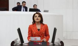 CHP'li Gülcan Kış: “Öğretmenler açlık grevinde, Bakanlık hâlâ sessiz”