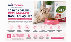 2026'da Orijinal Kedi Maması Nasıl Anlaşılır? Uzmanlardan 7 Önemli Tavsiye