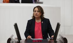 Müzeyyen Şevkin: “Çıplak arama işkencedir, hesap sorulmalıdır”
