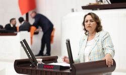 CHP'li Dr. Müzeyyen Şevkin TBMM'de iktidara yüklendi: "Çiftçi toprağından kopuyor, tarım alarm veriyor!"